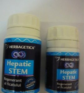 2-x-hepatic-stem-