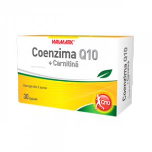 coenzima-carnitina-l_2543